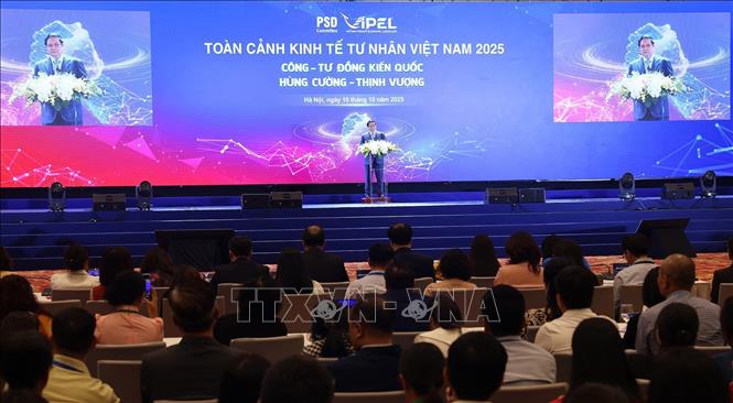Phiên họp cấp cao Toàn cảnh Kinh tế tư nhân lần thứ nhất (ViPEL 2025). Ảnh: Dương Giang-TTXVN