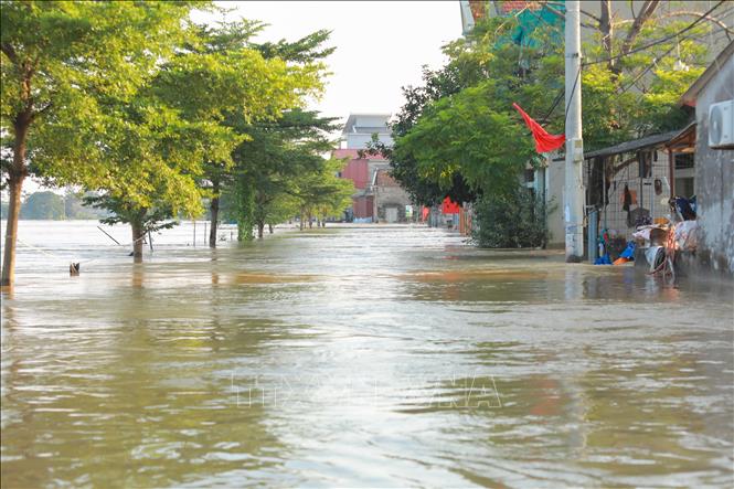 Phường Vân Hà chìm trong biển nước. Ảnh: Phan Phương - TTXVN
