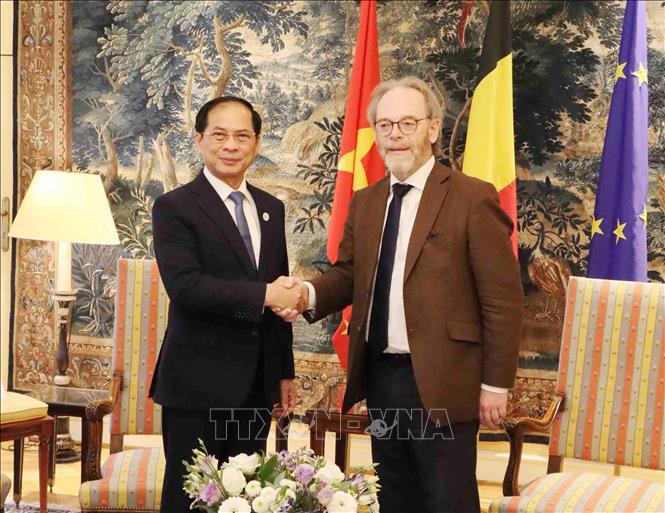 Phó Thủ tướng Bùi Thanh Sơn và Chủ tịch Hạ viện Bỉ Peter De Roover. Ảnh: Hương Giang - PV TTXVN tại Bỉ