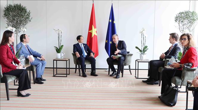 Phó Thủ tướng Bùi Thanh Sơn làm việc với Cao ủy châu Âu phụ trách Đối tác quốc tế, Jozef Sikela. Ảnh: Hương Giang - PV TTXVN tại Bỉ