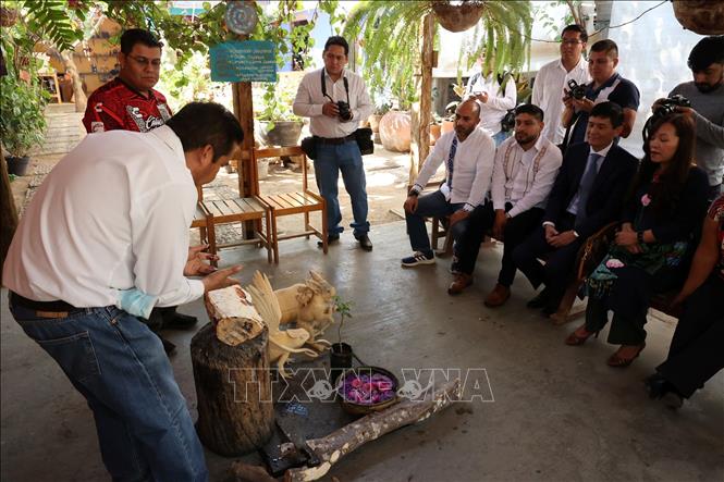 Du khách xem nghệ sĩ mô phỏng những nghi thức thờ cúng cổ xưa của người Maya tại bang Oaxaca, Mexico. Ảnh: Phi Hùng - PV TTXVN tại Mexico