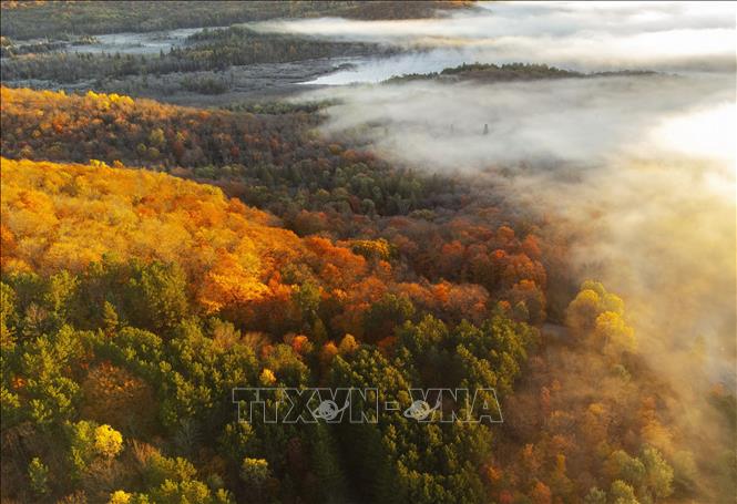 Cảnh đẹp mùa thu tại Ontario, Canada. Ảnh: THX/TTXVN