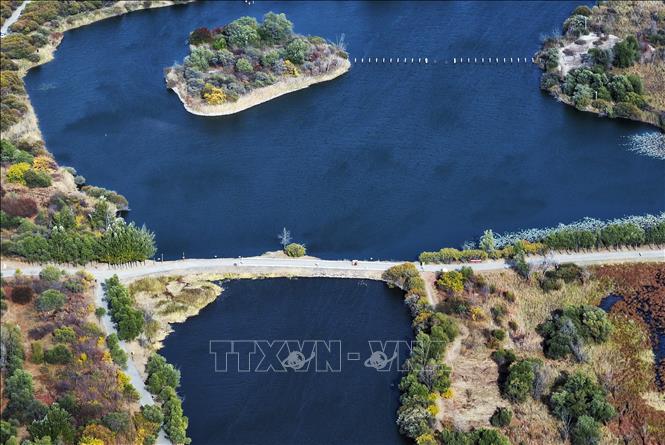 Cảnh đẹp mùa thu tại Cáp Nhĩ Tân, tỉnh Hắc Long Giang, Trung Quốc. Ảnh: THX/TTXVN