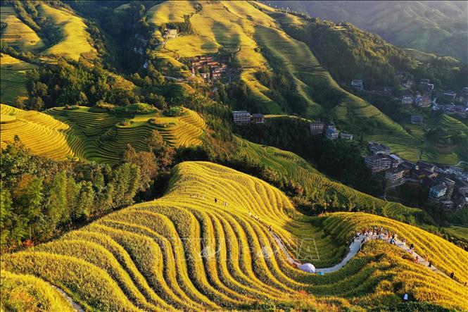 Cảnh đẹp mùa thu tại khu tự trị dân tộc Choang Quảng Tây, Trung Quốc. Ảnh: THX/TTXVN