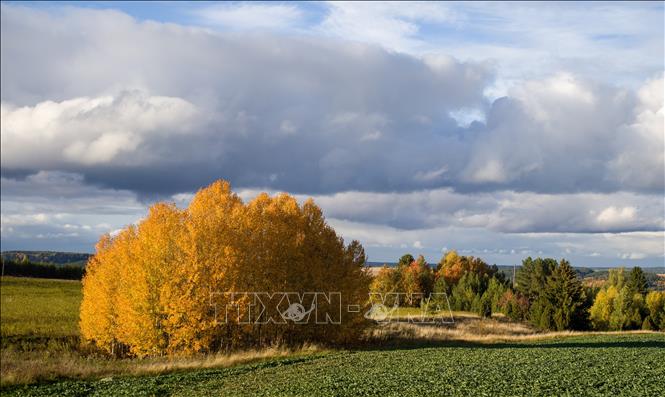 Cảnh đẹp mùa thu tại Udmurtia, Nga. Ảnh: THX/TTXVN