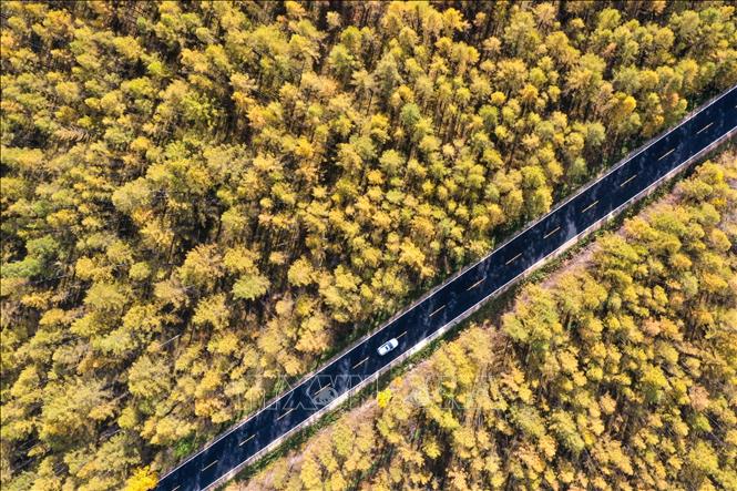 Cảnh đẹp mùa thu tại tỉnh Cát Lâm, Trung Quốc. Ảnh: THX/TTXVN