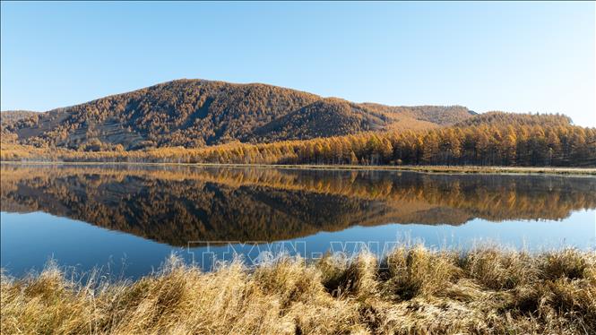 Cảnh đẹp mùa thu tại khu tự trị Nội Mông, Trung Quốc. Ảnh: THX/TTXVN