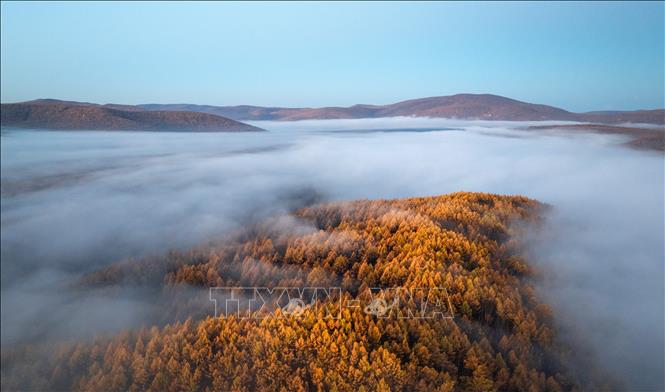 Cảnh đẹp mùa thu tại khu tự trị Nội Mông, Trung Quốc. Ảnh: THX/TTXVN