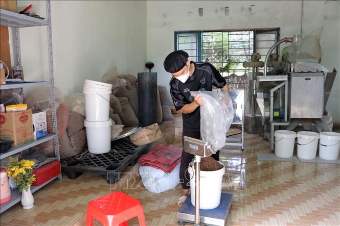 Công ty TNHH Bản Cacao tạo công ăn việc làm cho 20 lao động đều là người dân tộc thiểu số địa phương. Ảnh: Chu Quốc Hùng-TTXVN