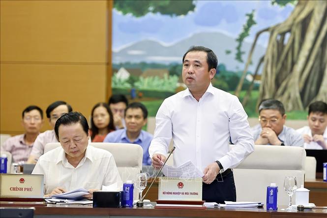 Quyền Bộ trưởng Bộ Nông nghiệp và Môi trường Trần Đức Thắng phát biểu. Ảnh: Doãn Tấn - TTXVN