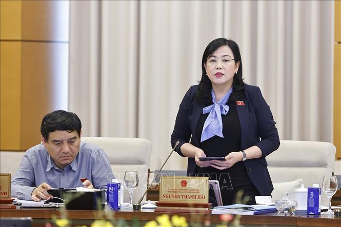 Chủ nhiệm Ủy ban Công tác đại biểu của Quốc hội Nguyễn Thanh Hải phát biểu. Ảnh: Doãn Tấn - TTXVN