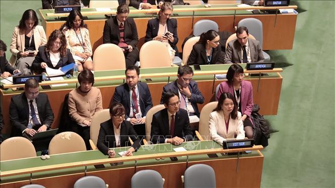 The Vietnam's delegation at the election. VNA Photo: Thanh Tuấn