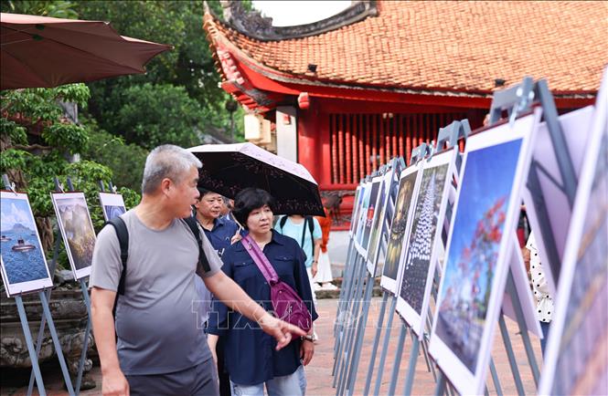 Triển lãm thu hút sự quan tâm của du khách. Ảnh: Thanh Tùng - TTXVN