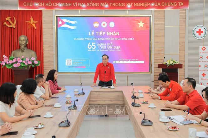 Phó chủ tịch Hội chữ thập đỏ Việt Nam Vũ Thanh Lưu phát biểu tại buổi tiếp nhận. Ảnh: Lê Đông - TTXVN