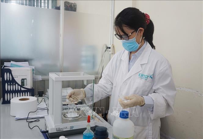 3 hướng nghiên cứu mà Tiến sĩ Nguyễn Hồ Thùy Linh đang theo đuổi đó lĩnh vực y sinh, dược học và môi trường. Ảnh: Thu Hoài - TTXVN