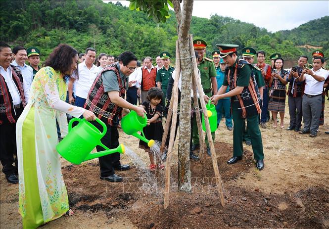 Thủ tướng Phạm Minh Chính trồng cây lưu niệm tại Trường phổ thông nội trú, bán trú Tiểu học và Trung học cơ sở xã Tây Giang, thành phố Đà Nẵng. Ảnh: Dương Giang-TTXVN 
