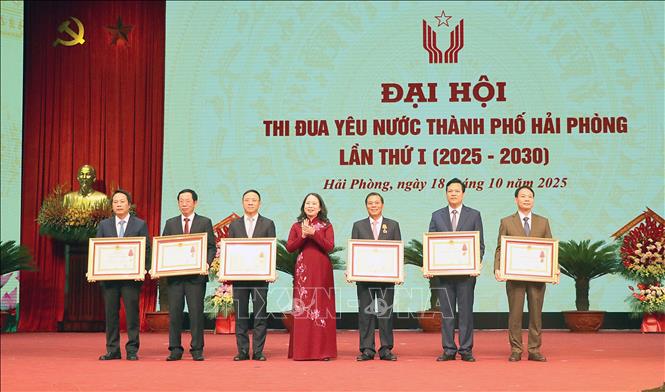 Bà Võ Thị Ánh Xuân, Phó Chủ tịch nước trao Huân chương Độc lập hạng Nhì, Huân chương Lao động hạng Nhất cho các cá nhân, tập thể. Ảnh: Hoàng Ngọc - TTXVN