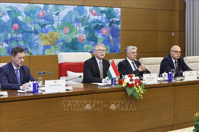 Chủ tịch Quốc hội Hungary Kover Laszlo phát biểu. Ảnh: Doãn Tấn - TTXVN