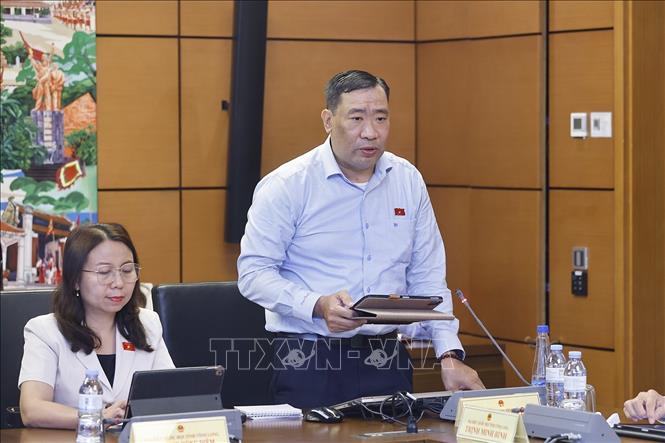 Đại biểu Quốc hội tỉnh Vĩnh Long Thạch Phước Bình phát biểu. Ảnh: Doãn Tấn - TTXVN