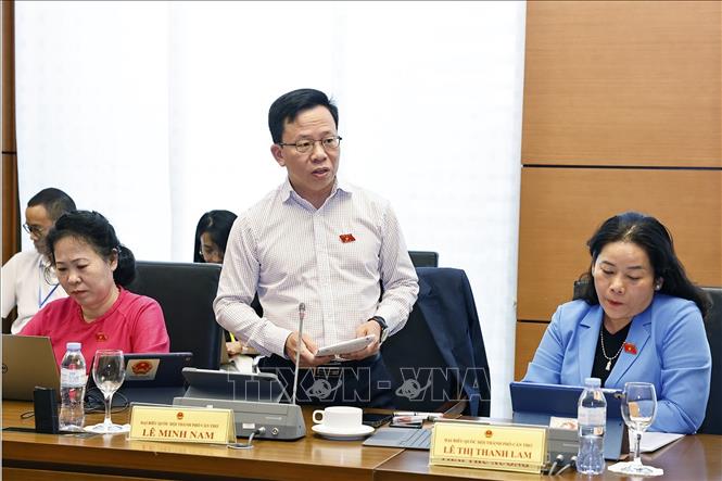 Đại biểu Quốc hội thành phố Cần Thơ Lê Minh Nam phát biểu. Ảnh: Doãn Tấn - TTXVN