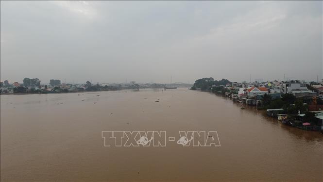 Mực nước sông Đồng Nai sáng 22/10 tại khu vực Biên Hòa lên cao, nhiều khu dân cư ven sông có nguy cơ ngập lụt. Ảnh: Sỹ Tuyên - TTXVN