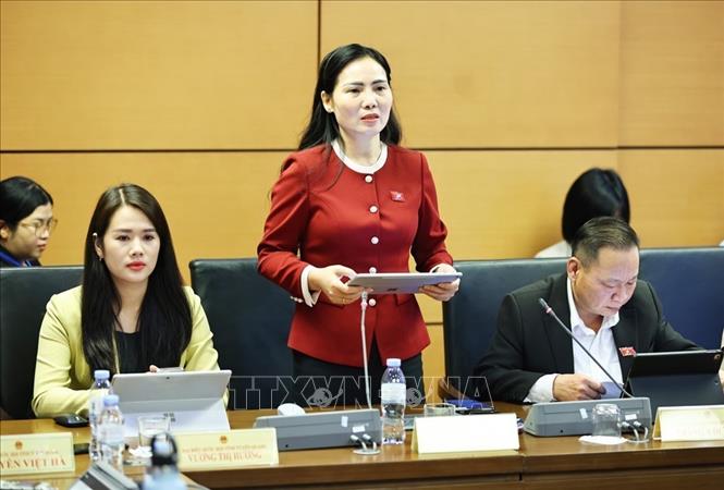 Đại biểu Quốc hội tỉnh Tuyên Quang Âu Thị Mai phát biểu. Ảnh: Minh Đức – TTXVN