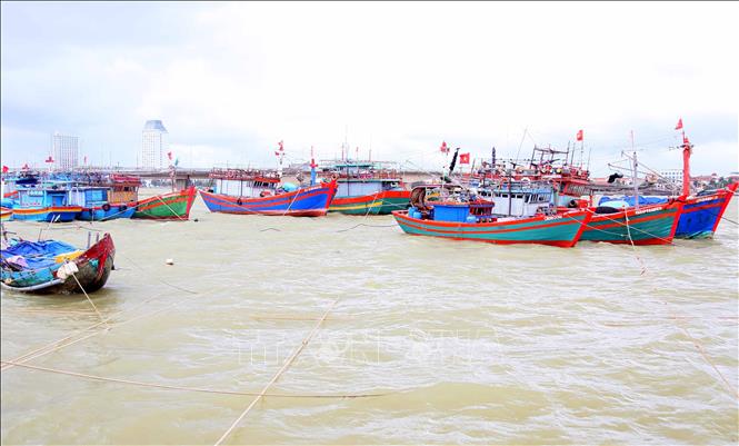 Tỉnh Quảng Trị yêu cầu các tàu thuyền neo đậu tránh trú bão phải đảm bảo an toàn về phòng cháy chữa cháy. Ảnh: Tá Chuyên - TTXVN 