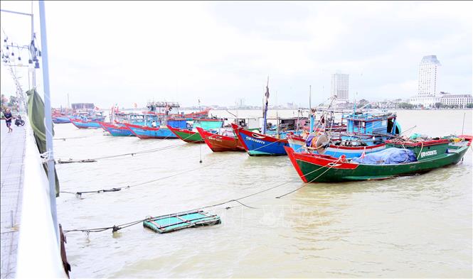 Tàu thuyền neo đậu tránh bão số 12 tại khu vực sông Nhật Lệ, phường Đồng Hới, Quảng Trị. Ảnh: Tá Chuyên - TTXVN