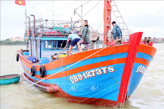 Ngư dân chằng buộc tàu thuyền, cất ngư lưới cụ trước khi bão 12 đổ bộ. Ảnh: Tá Chuyên - TTXVN