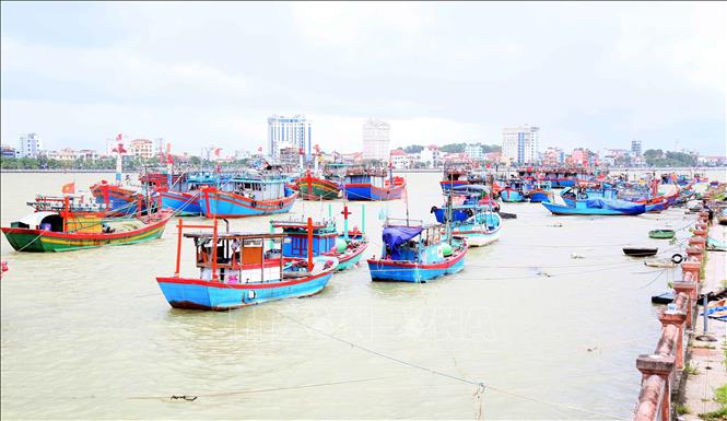  Toàn tỉnh Quảng Trị có 4.664 tàu có chiều dài từ 6m trở lên đã vào khu neo đậu tránh trú bão an toàn. Ảnh: Tá Chuyên - TTXVN