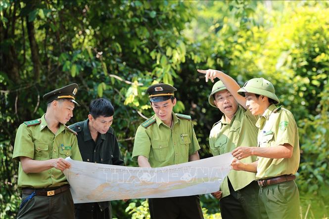 Lực lượng tuần tra Hạt Kiểm lâm Lang Chánh, tỉnh Thanh Hoá, trao đổi thông tin, nắm bắt tình hình quản lý, bảo vệ rừng trên địa bàn. Ảnh: Lê Đông - TTXVN