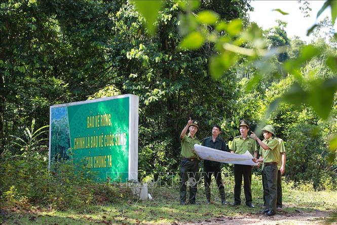 Lực lượng tuần tra Hạt Kiểm lâm Lang Chánh, tỉnh Thanh Hoá, trao đổi thông tin, nắm bắt tình hình quản lý, bảo vệ rừng trên địa bàn. Ảnh: Lê Đông - TTXVN
