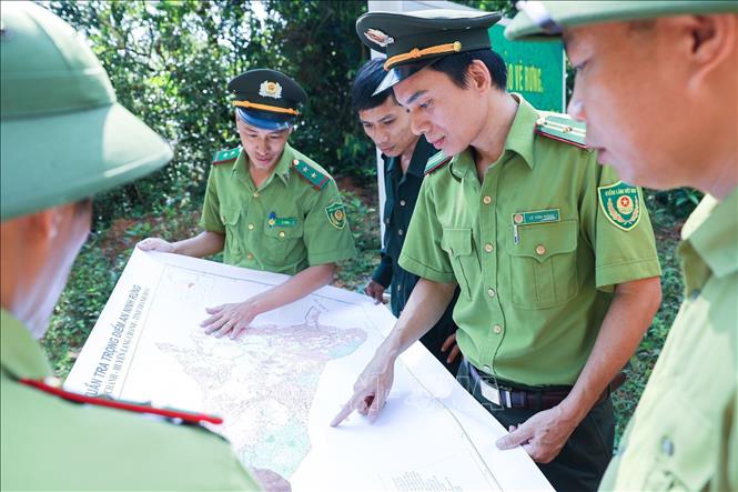 Lực lượng tuần tra Hạt Kiểm lâm Lang Chánh, tỉnh Thanh Hoá trao đổi thông tin, nắm bắt tình hình quản lý, bảo vệ rừng tự nhiên trên địa bàn. Ảnh: Lê Đông - TTXVN