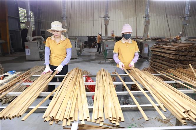 Công nhân Công ty Cổ phần Bambo King Vina, cụm công nghiệp Bãi Bùi, xã Linh Sơn, tỉnh Thanh Hoá phân loại thanh luồng. Ảnh: Lê Đông - TTXVN