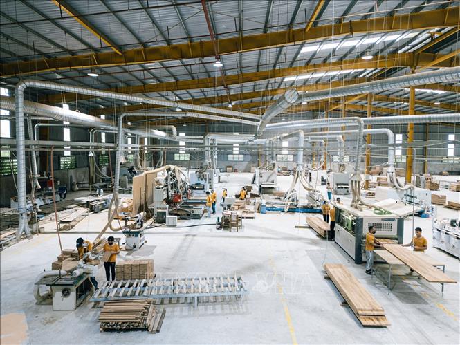 Công ty Cổ phần Bambo King Vina, cụm công nghiệp Bãi Bùi, xã Linh Sơn, tỉnh Thanh Hoá, đầu tư dây chuyền, máy móc nâng cao năng lực chế biến lâm sản. Ảnh: Lê Đông - TTXVN