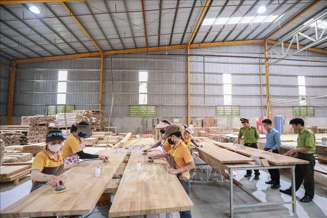 Lực lượng Kiểm lâm Thanh Hóa kiểm tra hoạt động chế biến gỗ theo tiêu chuẩn FSC tại cơ sản xuất trên địa bàn. Ảnh: Lê Đông - TTXVN