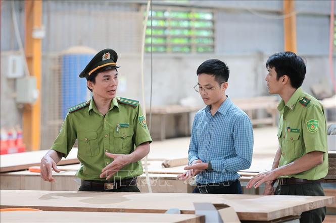 Lực lượng Kiểm lâm Thanh Hóa kiểm tra hoạt động chế biến gỗ theo tiêu chuẩn FSC tại cơ sản xuất trên địa bàn. Ảnh: Lê Đông - TTXVN