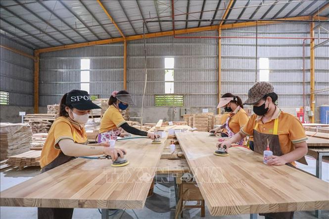 Công nhân chà mịn mặt ván bằng máy trước khi sơn phủ. Ảnh: Lê Đông - TTXVN