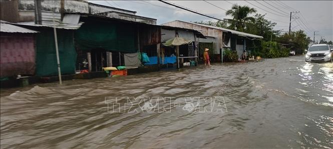 Triều cường gây ngập Quốc lộ 1A, đoạn qua phường Đại Thành, thành phố Cần Thơ. Ảnh: Duy Khương - TTXVN