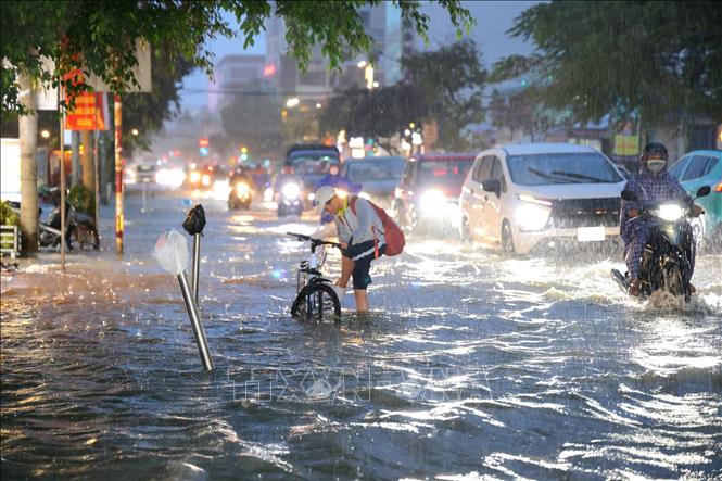 Nước ngập lênh láng trên đường Cách Mạng Tháng Tám, phường Cái Khế, thành phố Cần Thơ, khi triều cường lập đỉnh kỷ lục mới 2,29m. Ảnh: Thanh Liêm - TTXVN