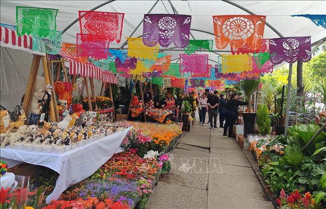 Hội chợ hoa Cempasúchil hay Cúc vạn thọ Mexico trên đại lộ Paseo de la Reforma ở thủ đô Mexico City. Ảnh: Phương Lan - PV TTXVN tại Mexico 