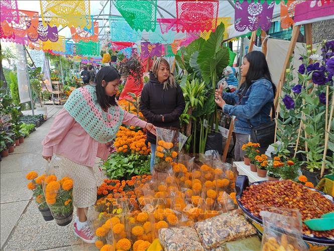 Người dân Mexico mua hoa Cempasúchil hay Cúc vạn thọ để trang trí bàn thờ tổ tiên trước thềm lễ hội “Ngày người chết”. Ảnh: Phương Lan - PV TTXVN tại Mexico 