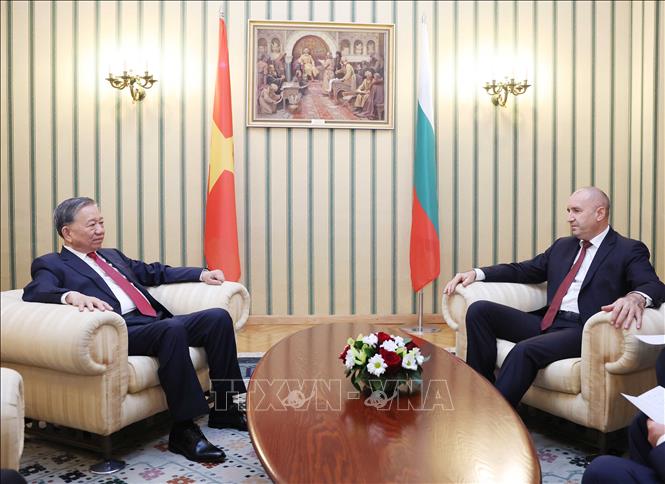Tổng Bí thư Tô Lâm và Tổng thống Cộng hòa Bulgaria Rumen Radev hội đàm hẹp. Ảnh: Thống Nhất – TTXVN