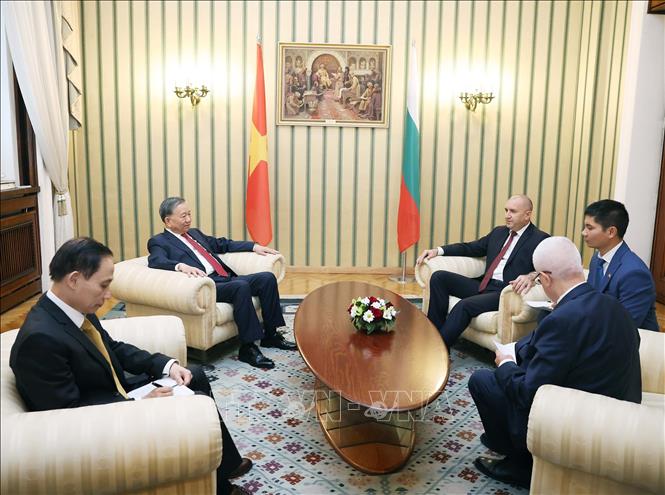 Tổng Bí thư Tô Lâm và Tổng thống Cộng hòa Bulgaria Rumen Radev hội đàm hẹp. Ảnh: Thống Nhất – TTXVN