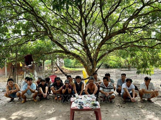 Đầu tháng 12/2022, Công an huyện Dương Minh Châu, tỉnh Tây Ninh triệt xóa tụ điểm đánh bạc, với hàng chục đối tượng tham gia cá cược bằng hình thức tổ chức đá gà qua mạng. Ảnh: TTXVN phát
