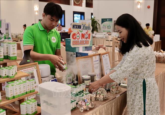 Các Hợp tác xã trưng bày các sản phẩm tiêu dùng xanh tại hội thảo. Ảnh: Trần Lê Lâm - TTXVN 