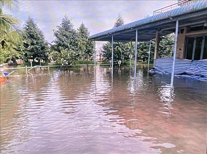 Triều cường dân cao bất ngờ chiều 24/10 làm ngập nhà dân xã Phú Hựu. Ảnh: TTXVN phát