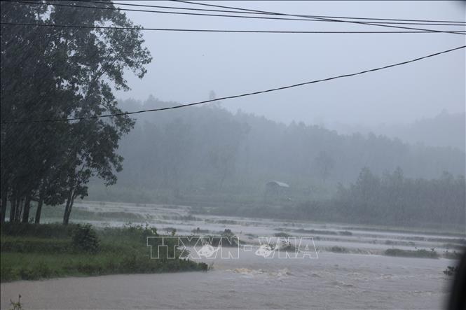 Mưa lớn kéo dài nhiều ngày khiến nước sông suối lên cao. Ảnh: Anh Dũng – TTXVN