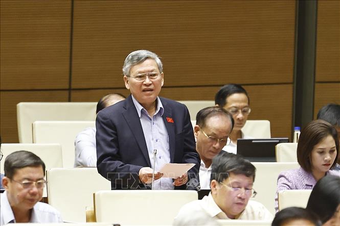 Đại biểu Quốc hội tỉnh Quảng Ngãi Tô Văn Tám phát biểu. Ảnh: Doãn Tấn - TTXVN