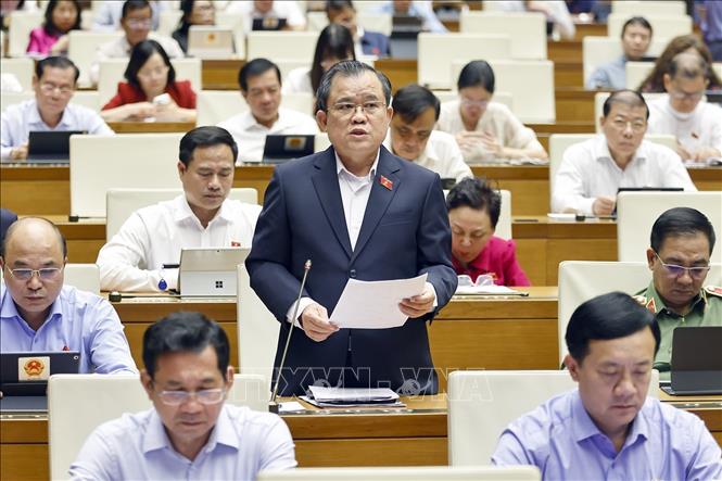 Đại biểu Quốc hội TP Hồ Chí Minh Nguyễn Tâm Hùng phát biểu. Ảnh: Doãn Tấn - TTXVN